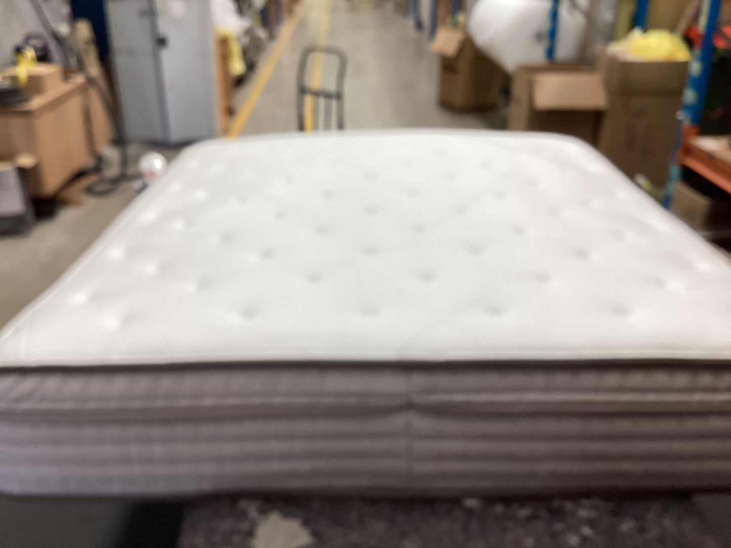 QLD QRS23084 Celestial Plush Mattress King   by Freed