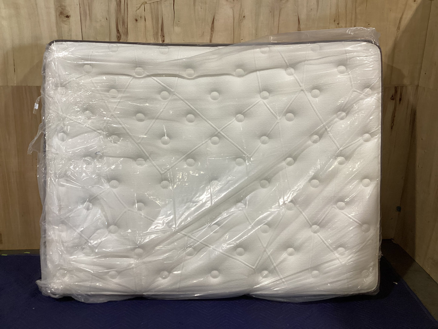 NSW CLN10739 Celestial Medium Queen