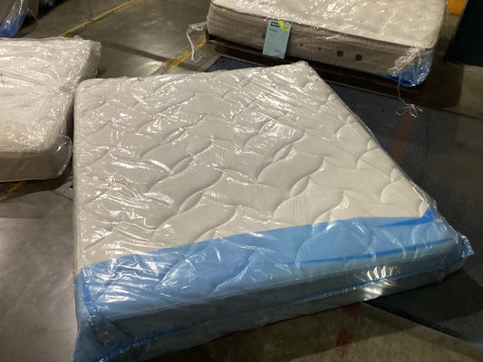 NSW CLN20951 Solara King Medium